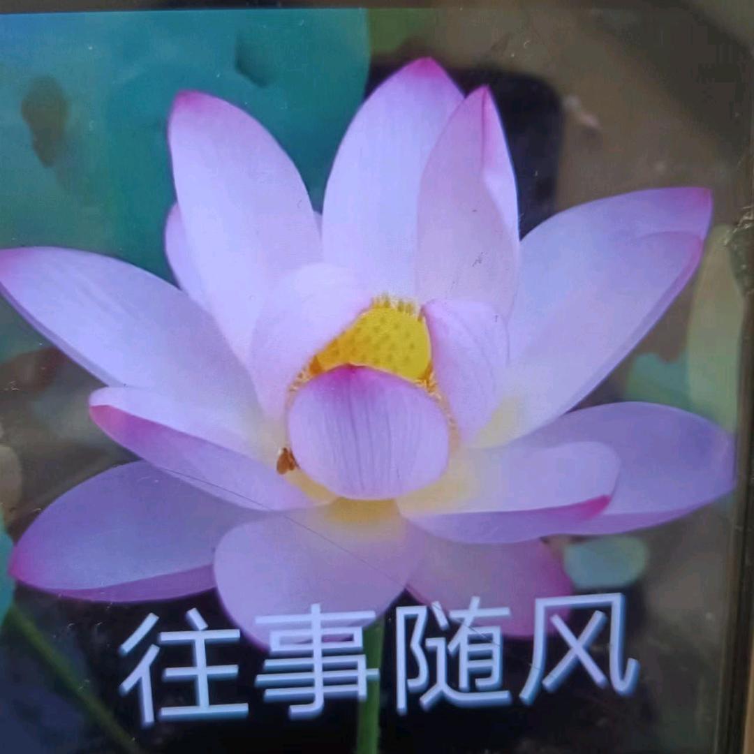 🙏 聚缘阁