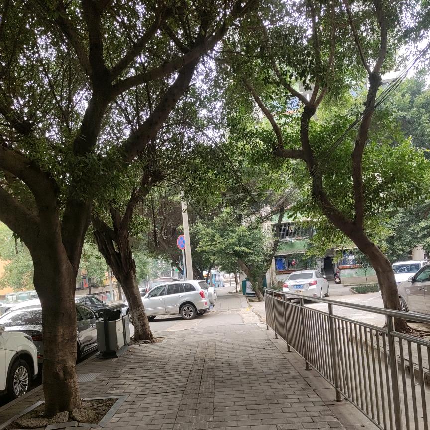 小毅（情感问题咨询）