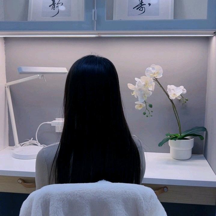 小野猫