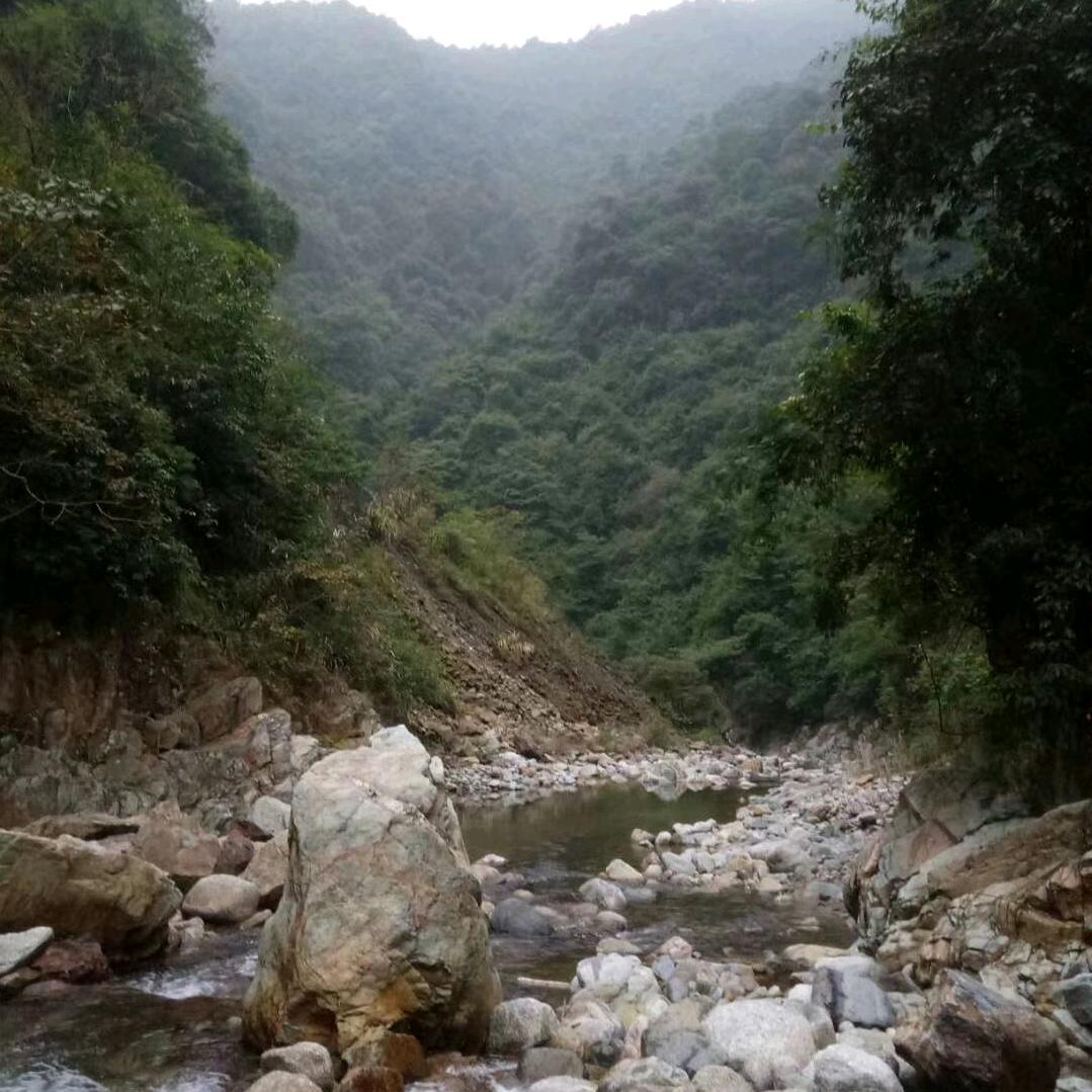 灬坚持灬