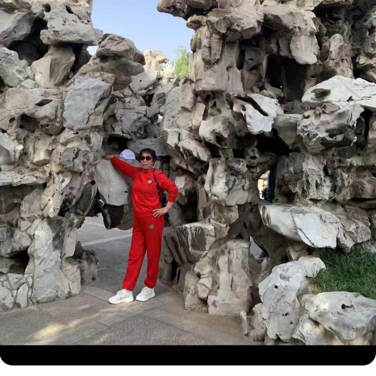 森林