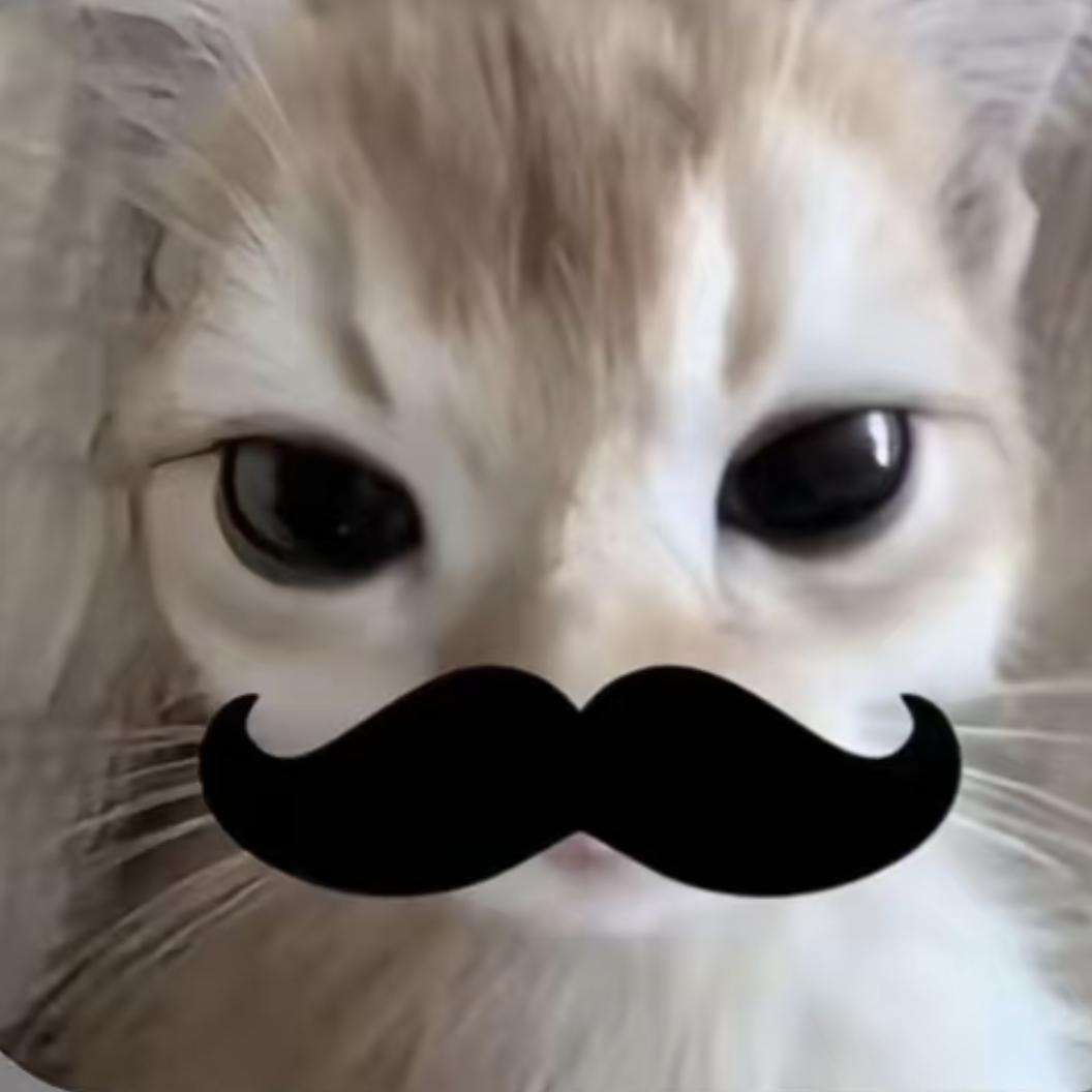 想养只猫