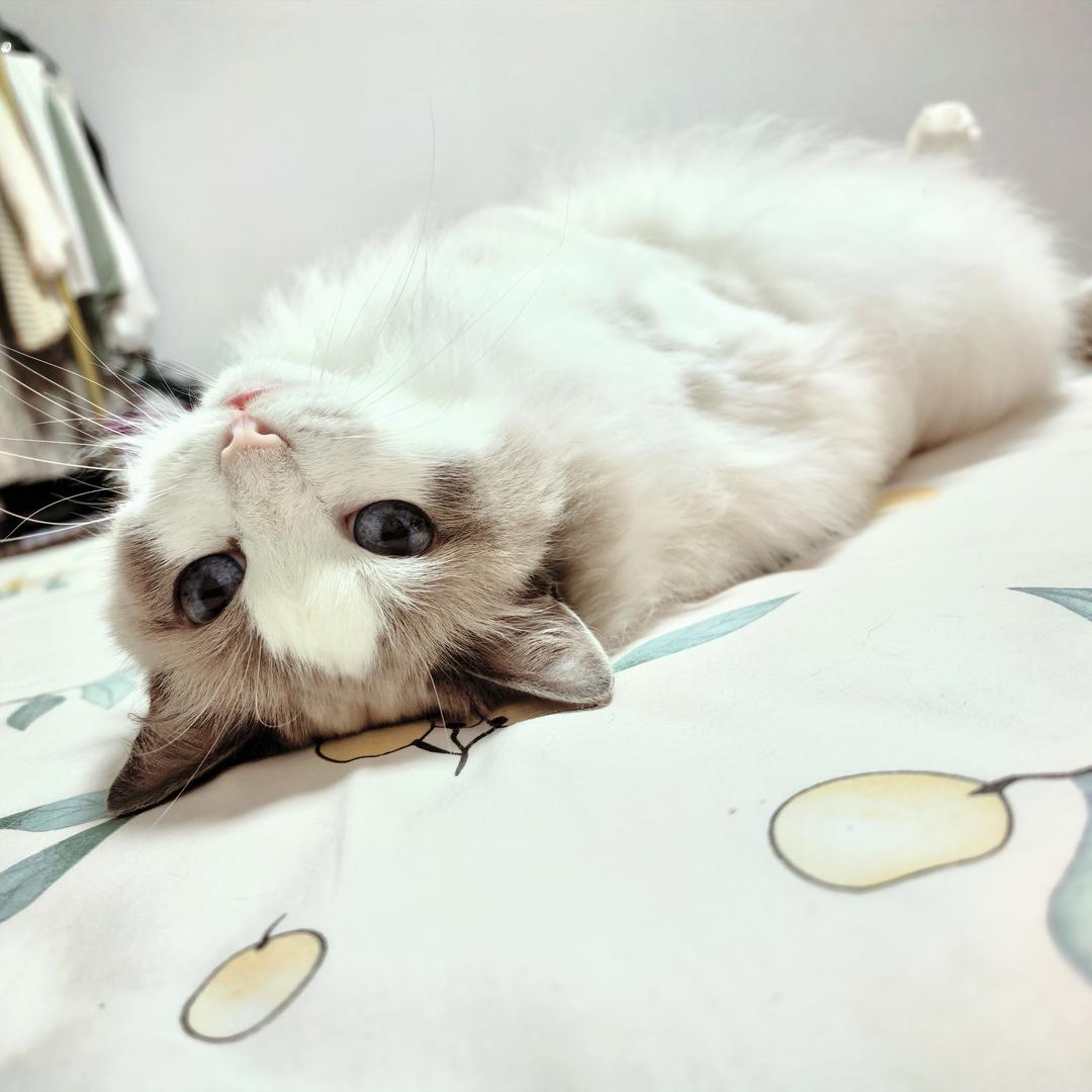 羞涩的🍄🍄🍄