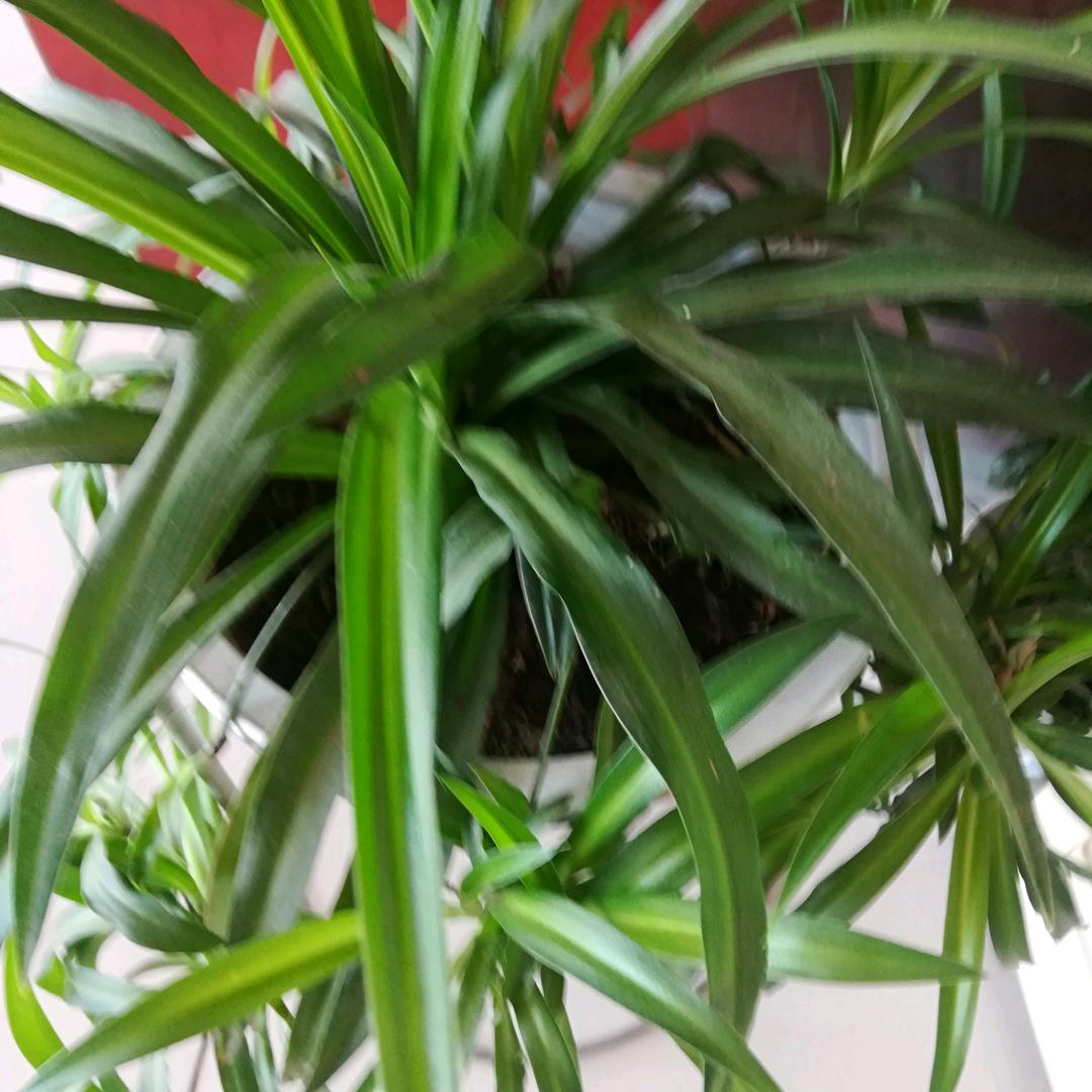 ～～一切随缘～～