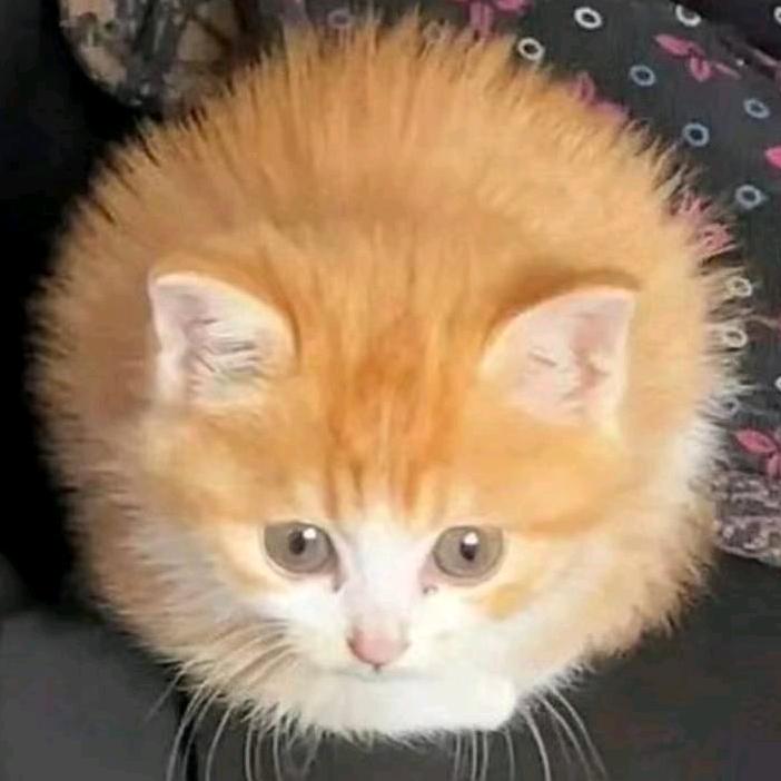 懐かしさ