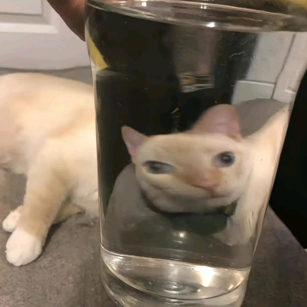✿空白格