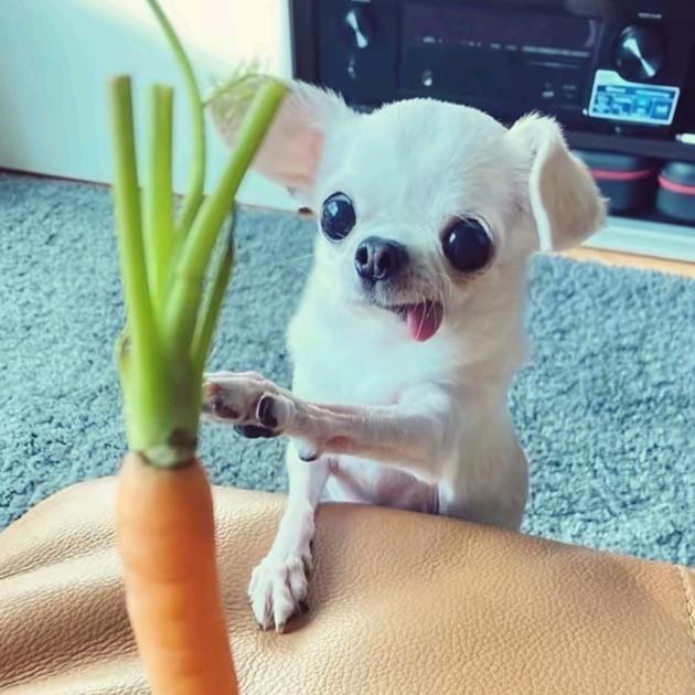 睡个好觉^