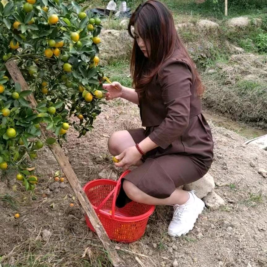 听雨在微笑
