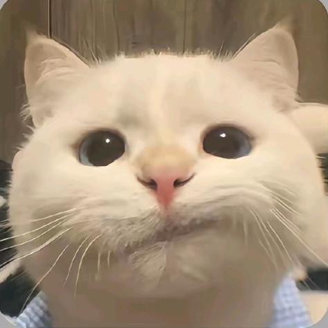一桐发呆