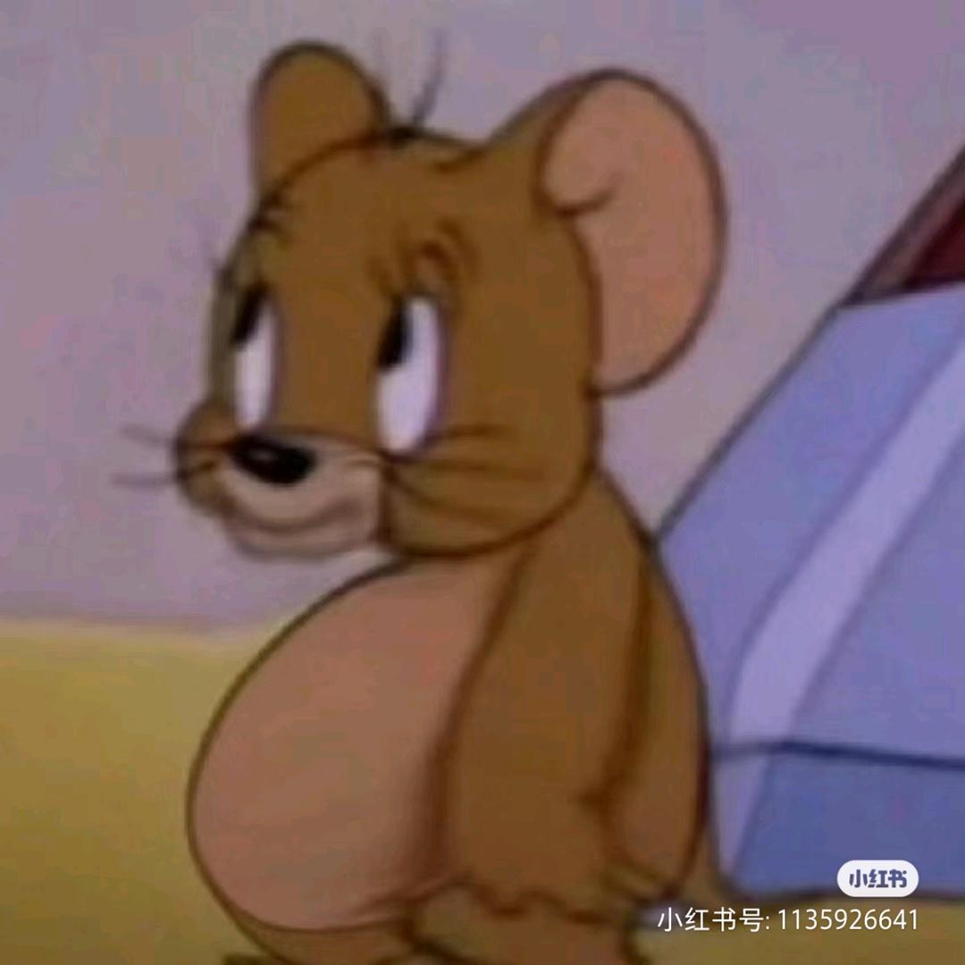 猫罐头