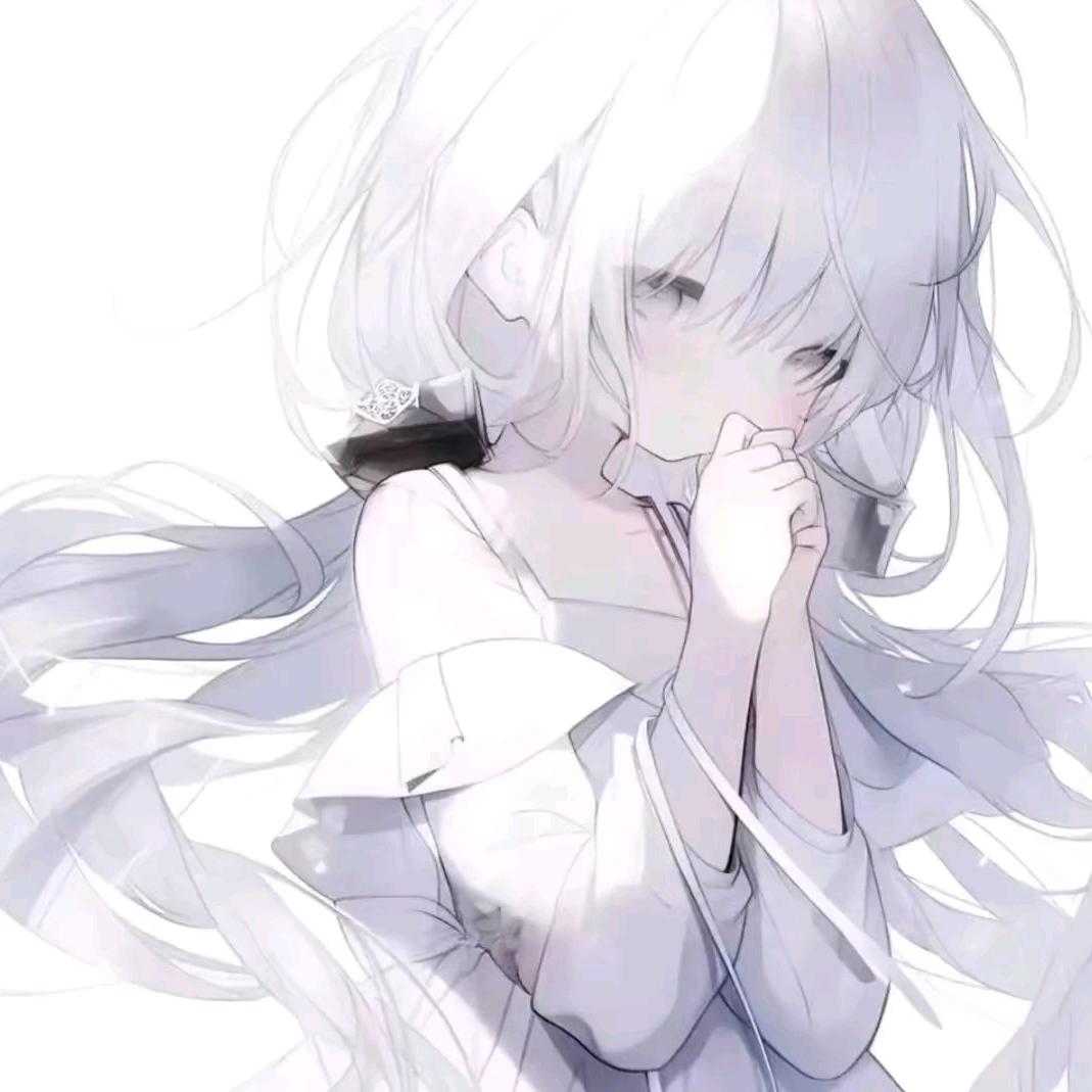 ₍⑅顶流奶猫⑅₎