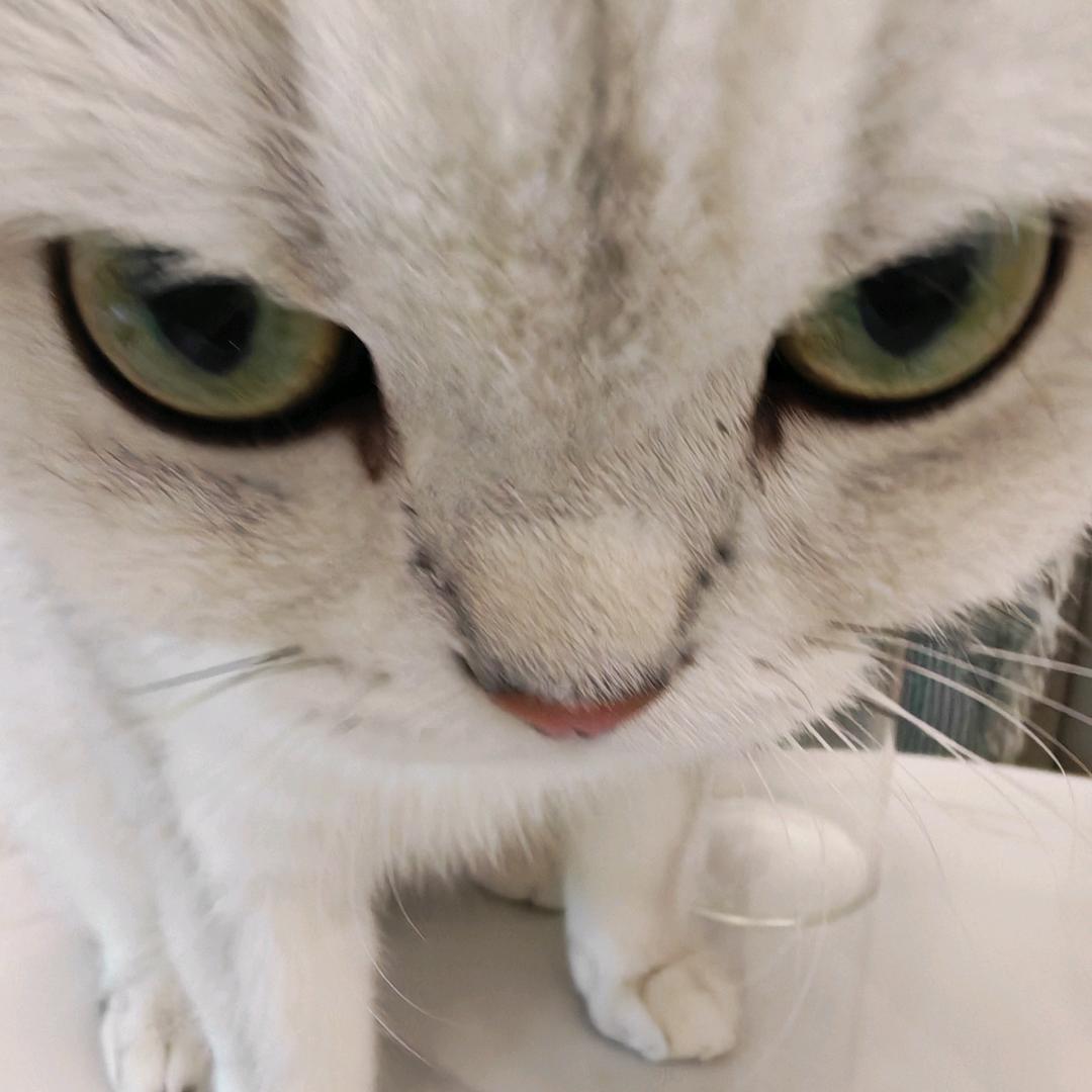 没那么难忘