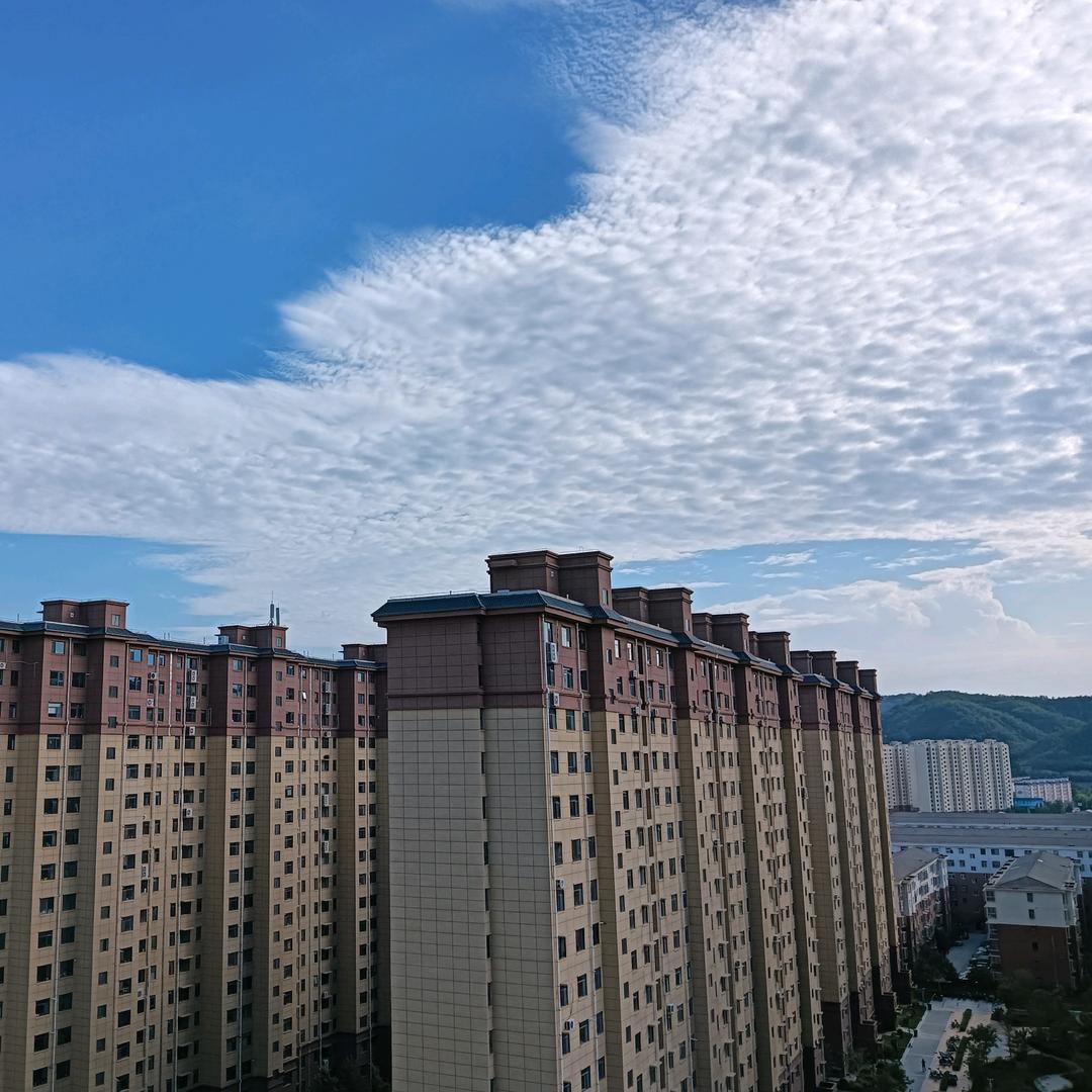 家具安装？香水有毒是清风明月。