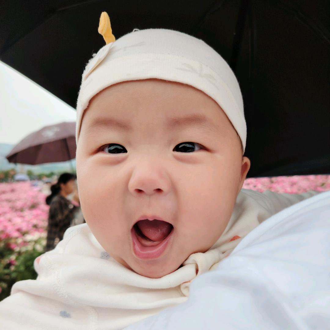 新化轮挖小林
