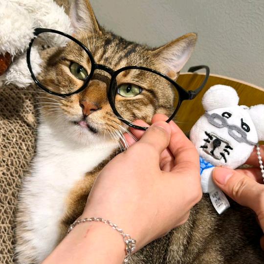 不要吃临期小薯