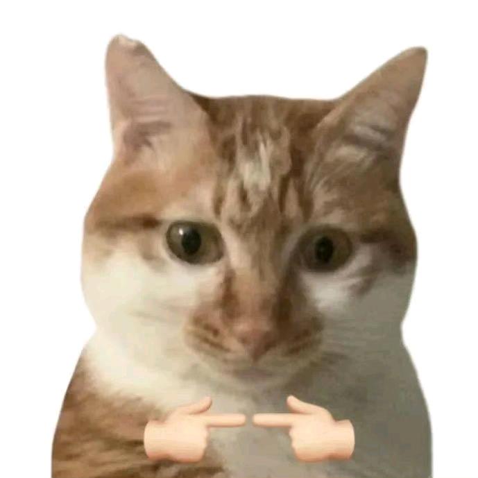 猫猫信徒
