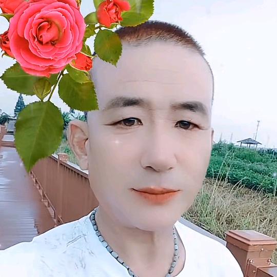 红橘子