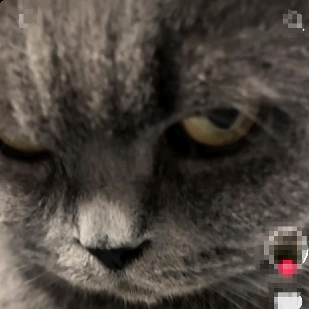 意气风发的混蛋