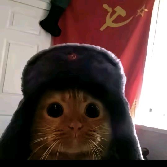 力力力