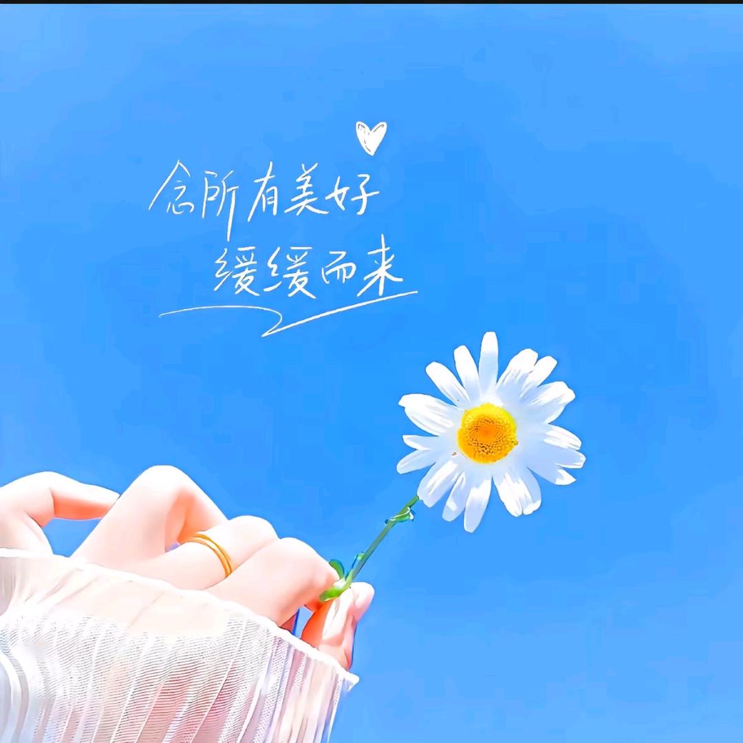 西西~