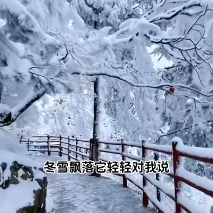 沉.默