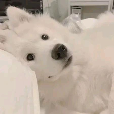 吃饭的来八楼