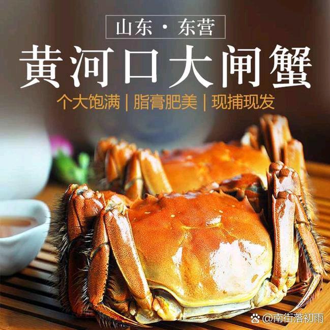 君子以厚德载物