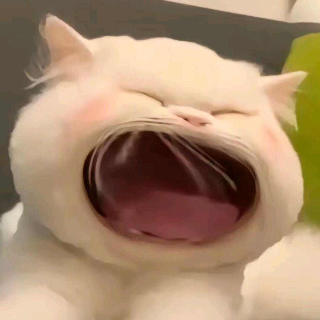 苏轩