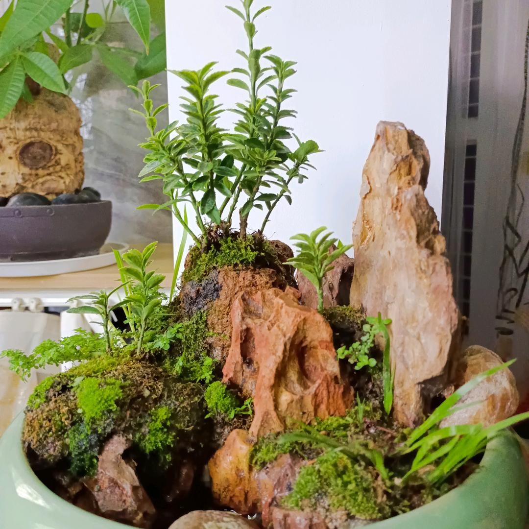 财缘