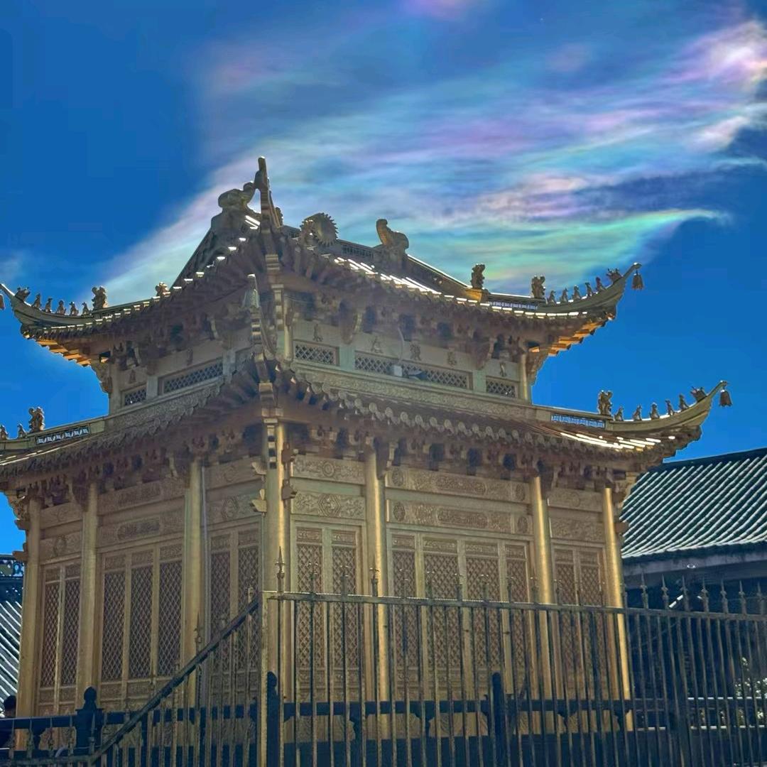 Y某某