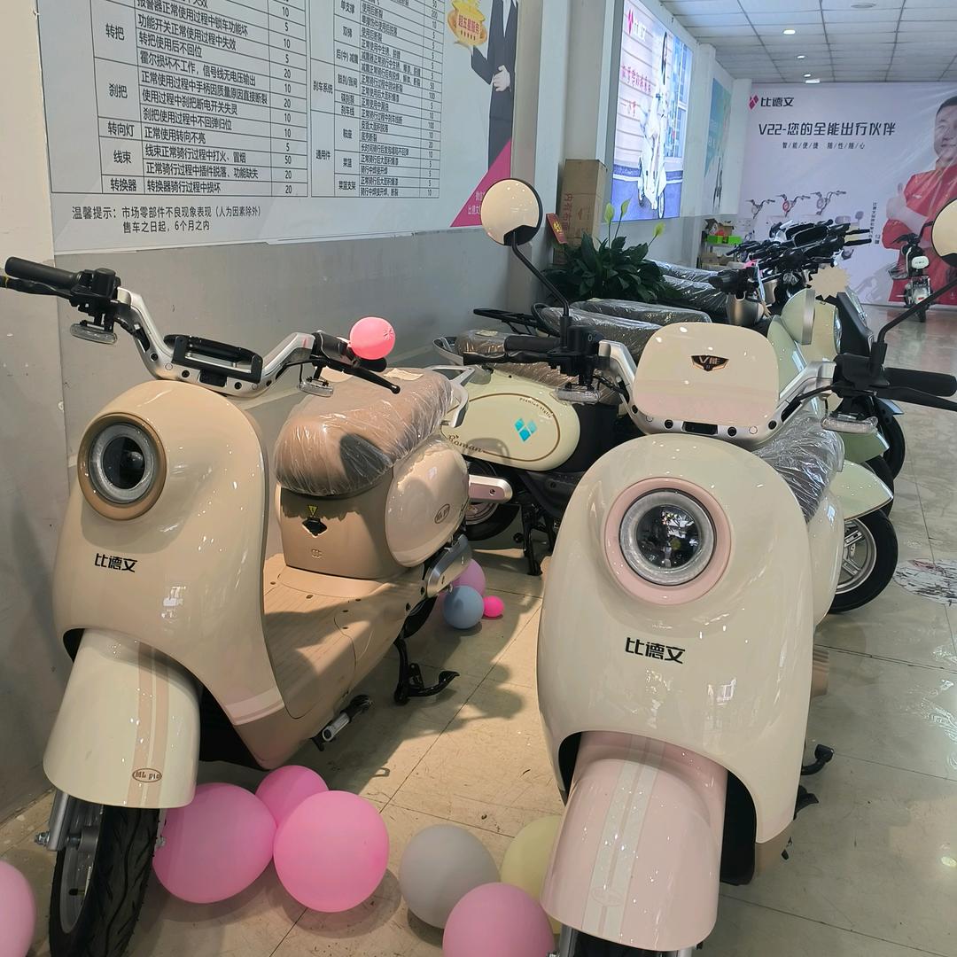 贵州榕江比德文电动车