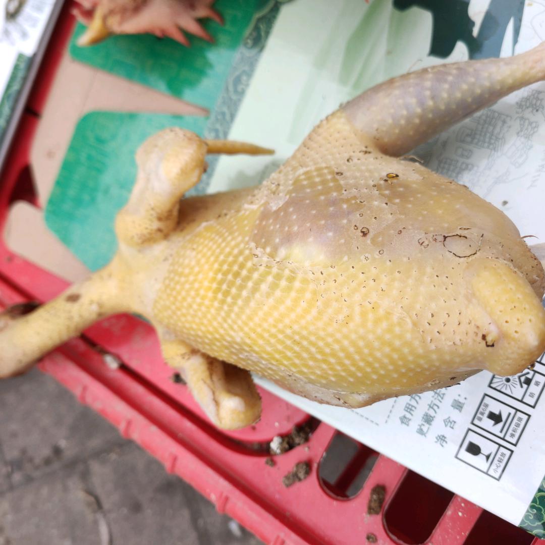 小刘散养生态土鸡