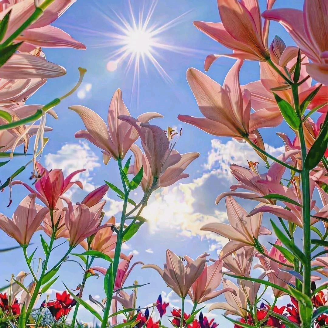 不尽长江滚滚来