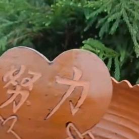 努力为明天