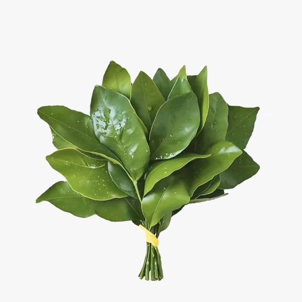 瑶瑶学姐