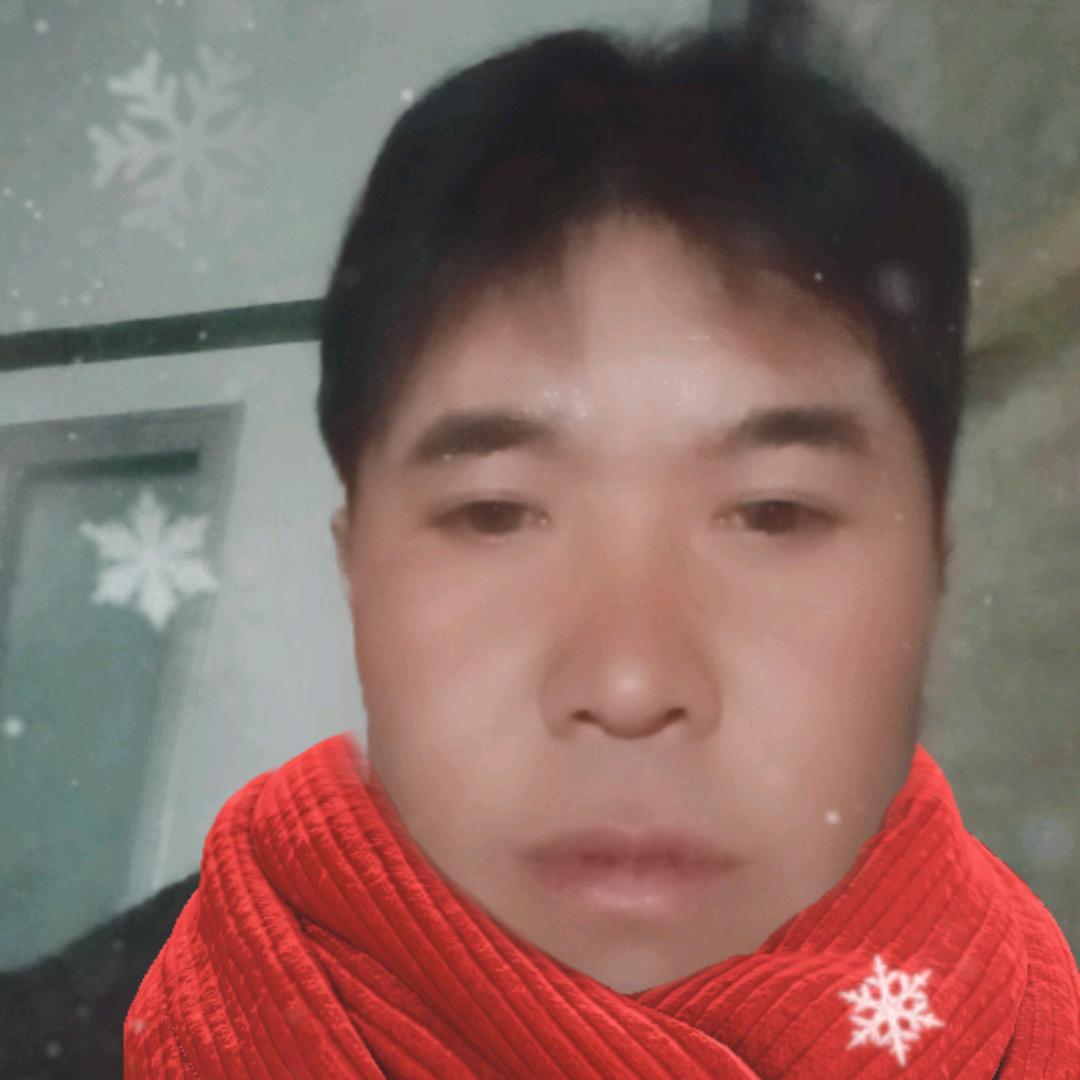 成功靠自己小马头像