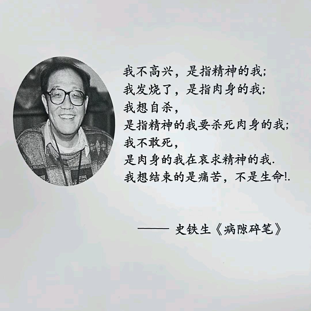 鱼儿