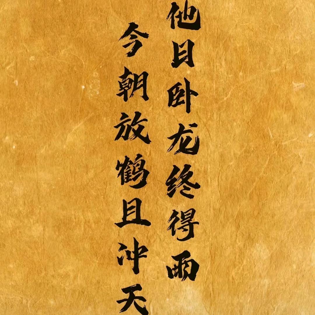 玩家就是玩