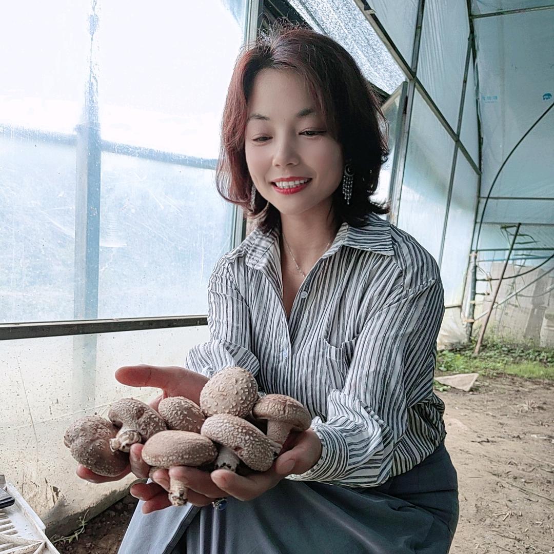 敬文 香菇姐