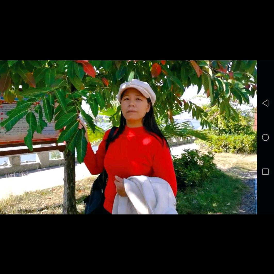 张惠