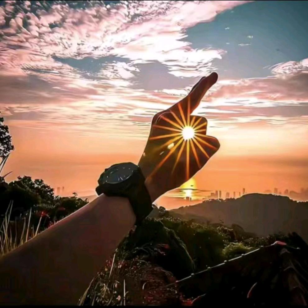 ✨浙里&豫见……你👑