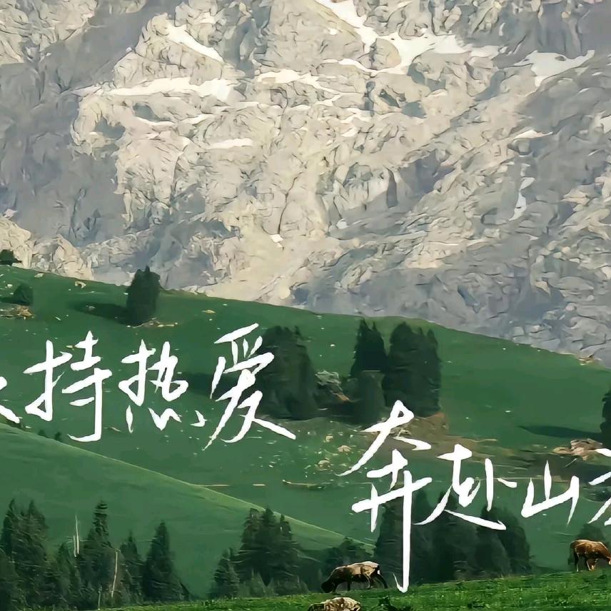 唯爱包包