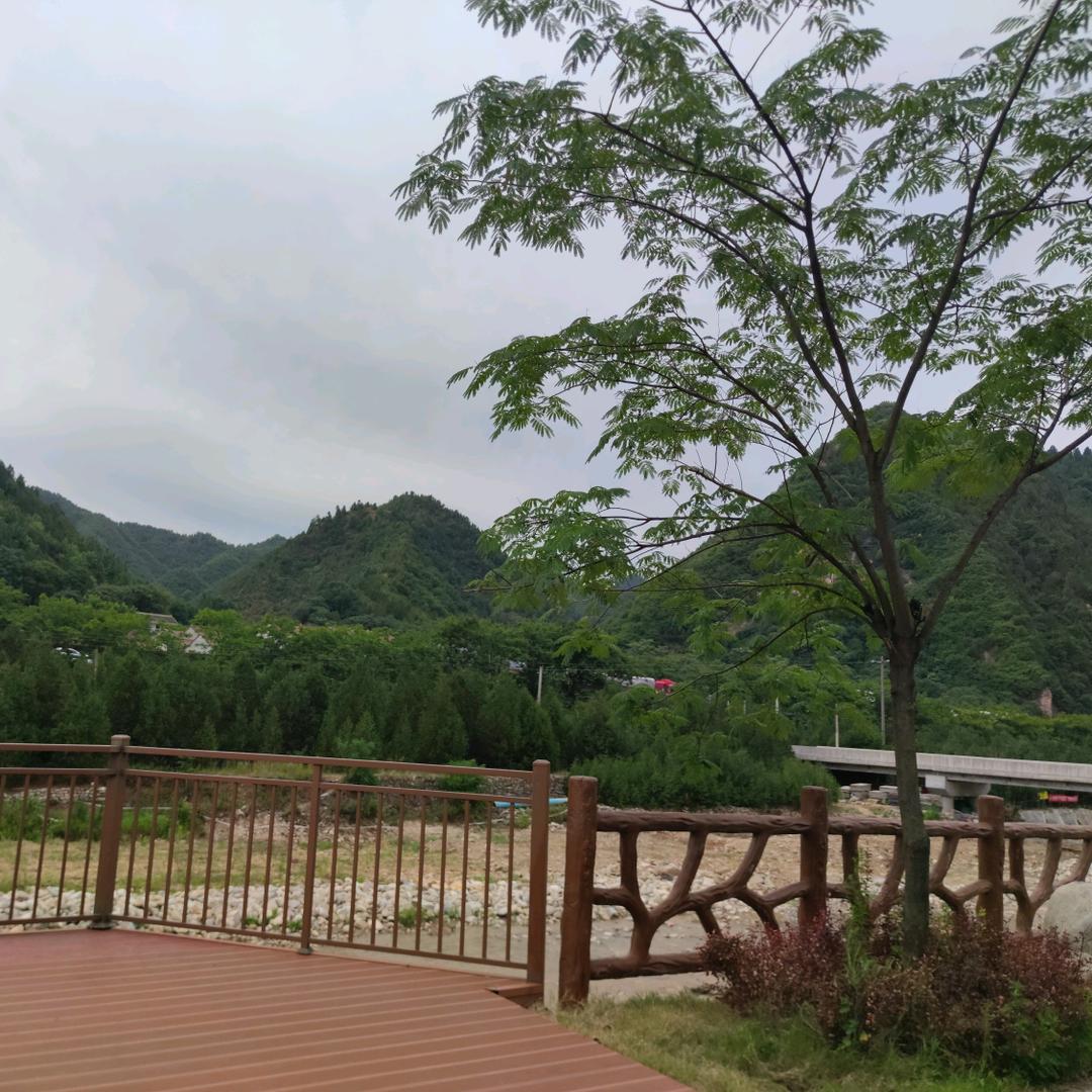 让梦想飞wm