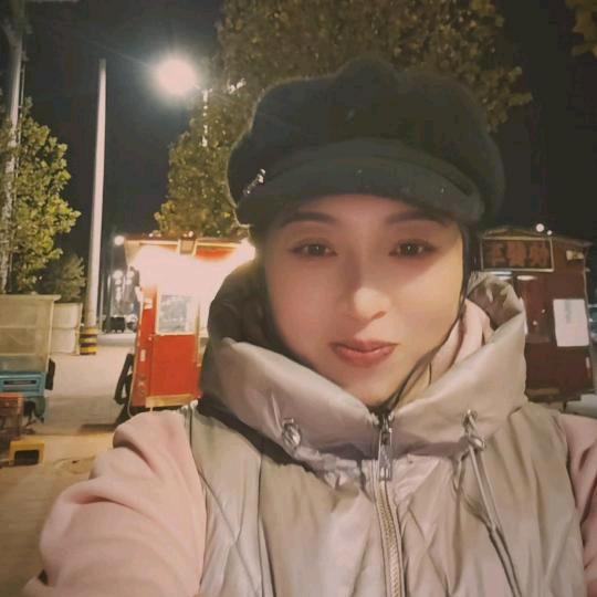 安国惜惜手工饺子