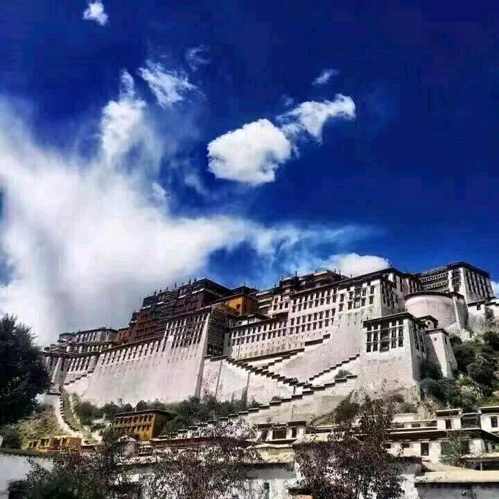 领悟