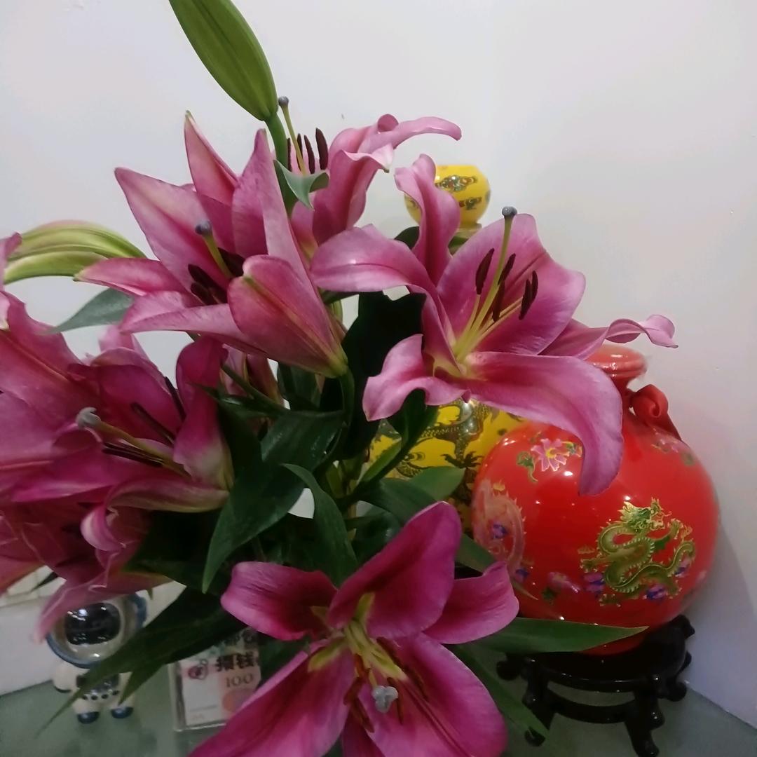 有你在,真好