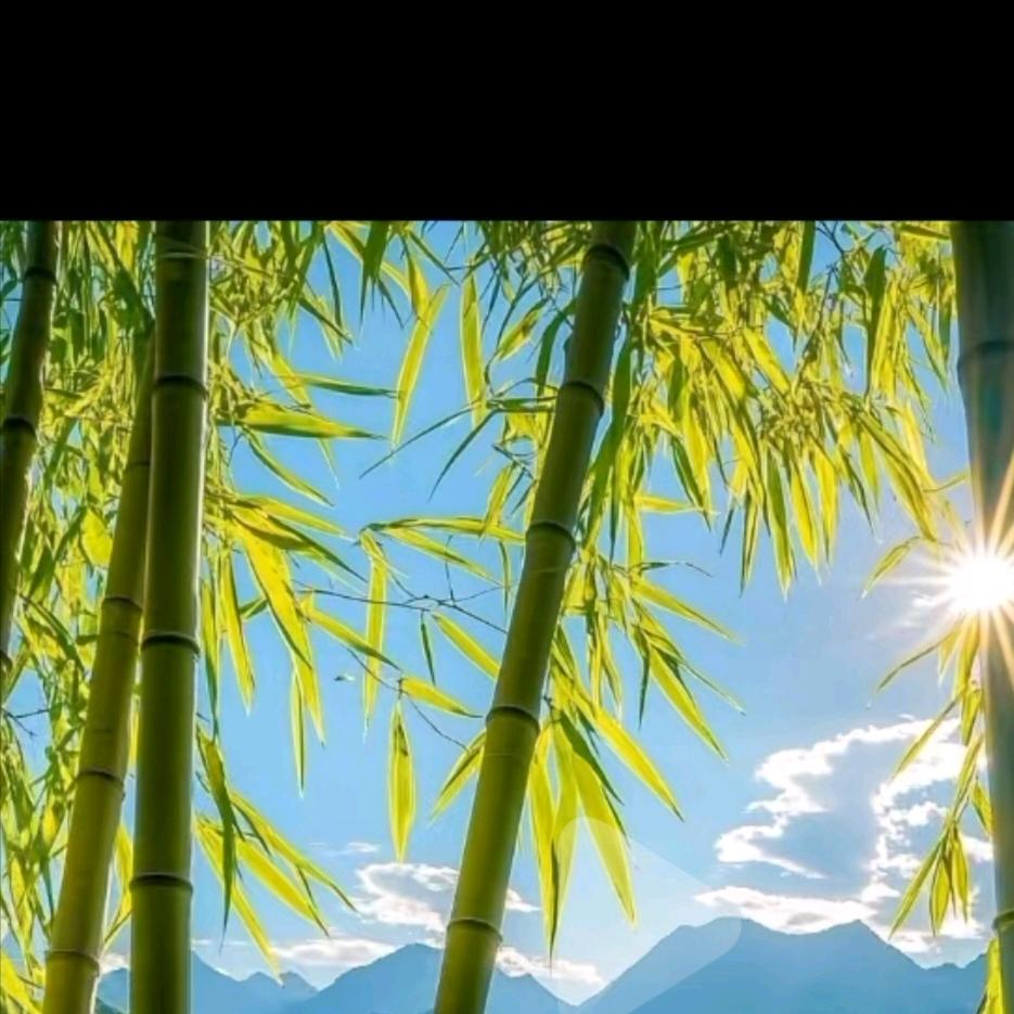 ·模块建房刘飞