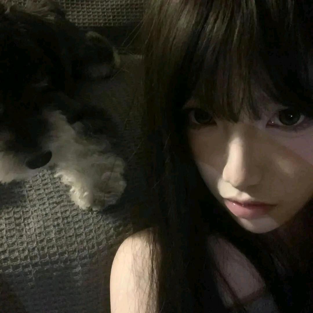 晓囡囡.