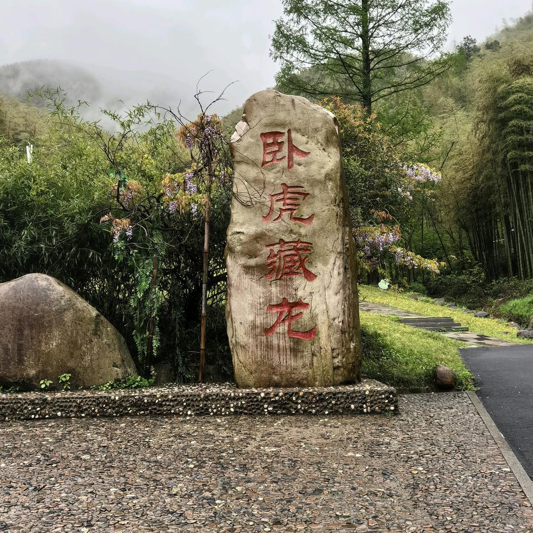 🔥🔥蓝桉