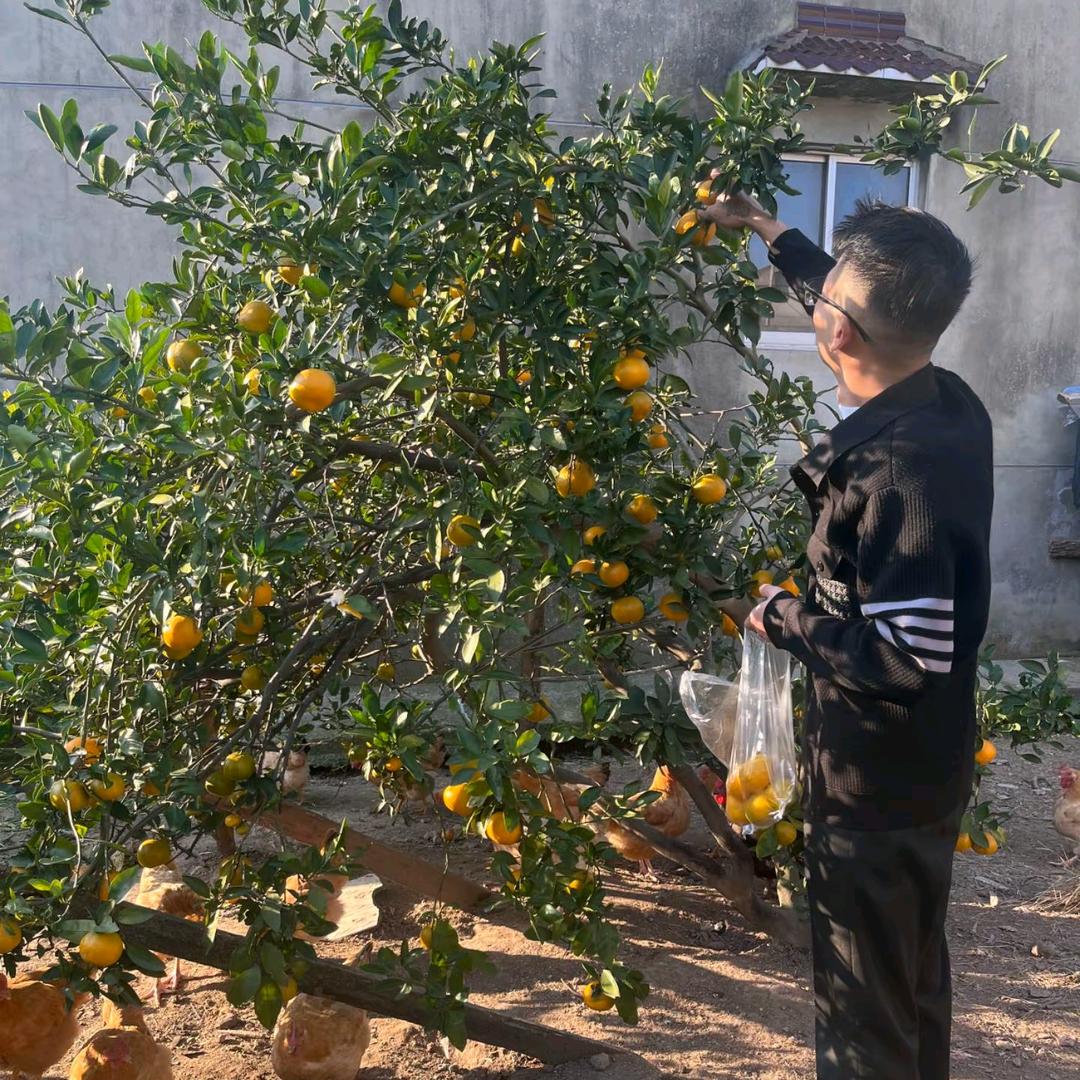回头望故乡